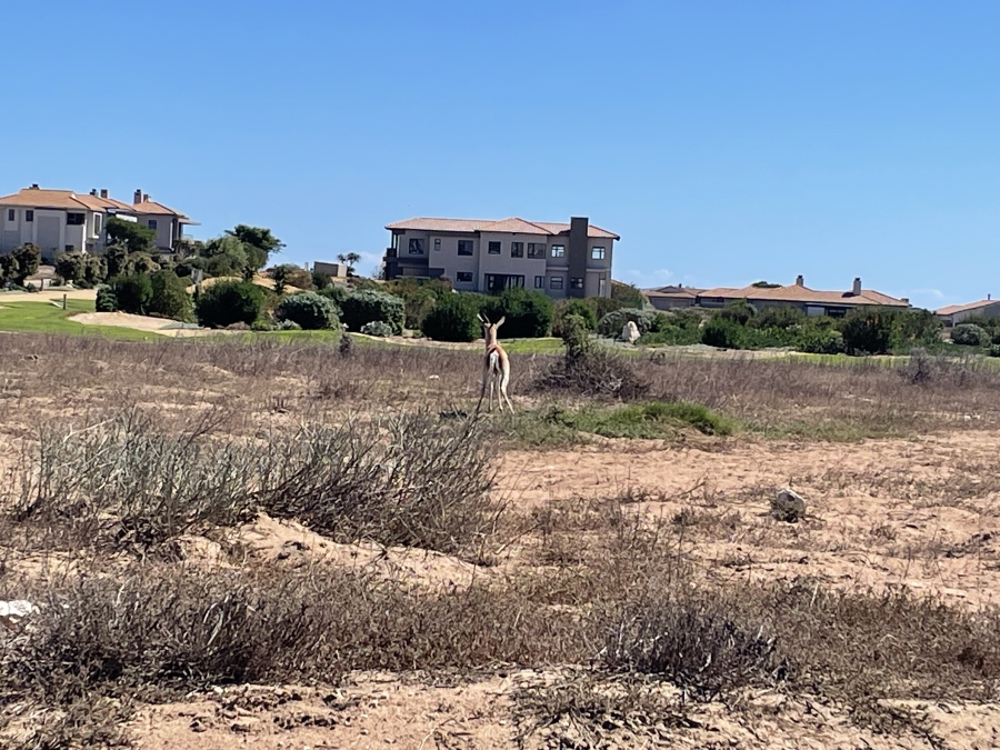 0 Bedroom Property for Sale in Country Club Western Cape